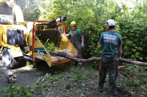 tree services McKinleyville